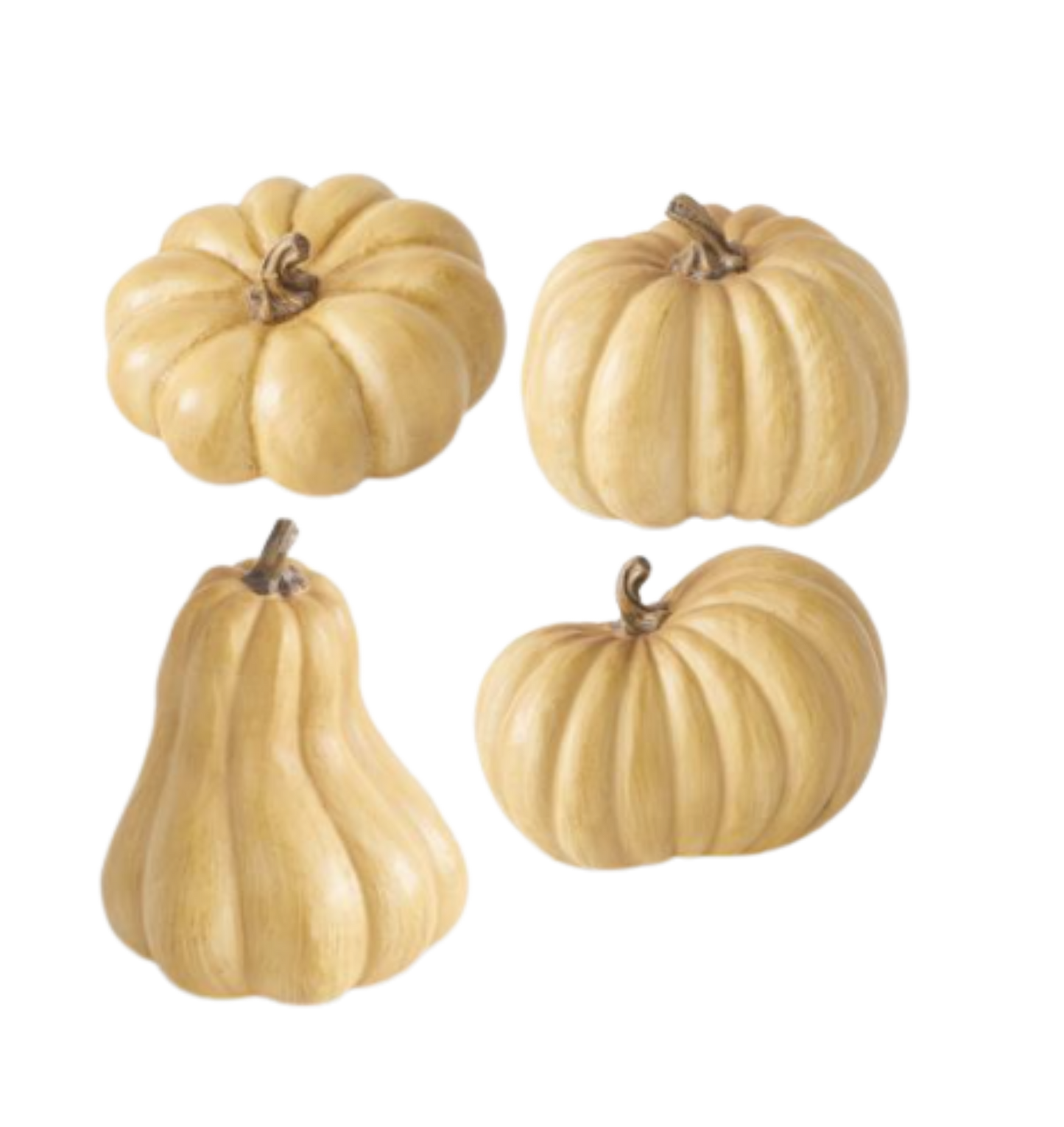 Fall Bundle #1