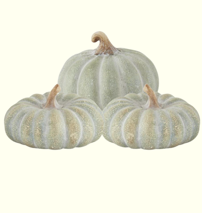 Fall Bundle #3